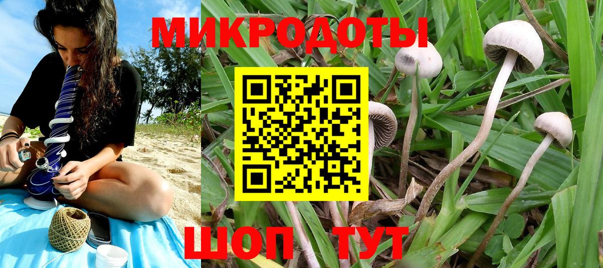 Галлюциногенные грибы ЛСД Гуково