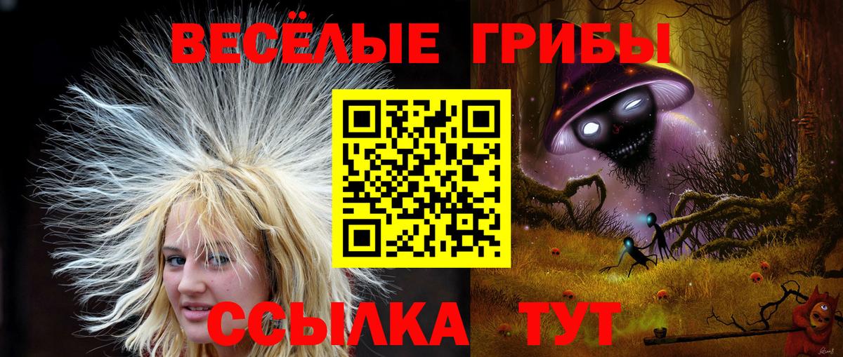 Галлюциногенные грибы Cubensis  Вход с VPN  Псилоцибиновые грибы GOLDEN TEACHER  Гуково 